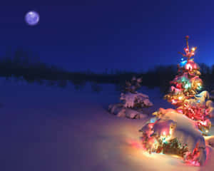 Immerse Yourself In A Magical Winter Wonderland. Wallpaper