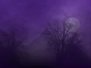 Immerse Yourself In The Haze Wallpaper