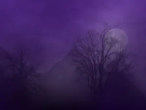 Immerse Yourself In The Haze Wallpaper