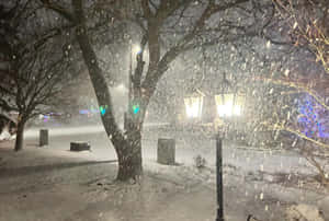 Imminent White Snowstorm Wallpaper