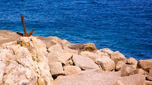 Immortal Tree Amidst The Cosmos Wallpaper