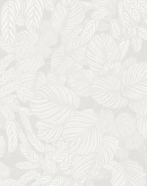 Impartial Gray Tropical Leaves Wallpaper
