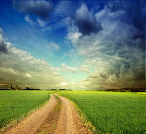 Important View Of Nature Wallpaper