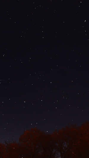 Impressive Iphone 8 Plus Displaying Its Sleek Design Wallpaper