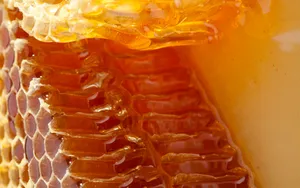 Impressive Raw Honey Macro Photography Wallpaper