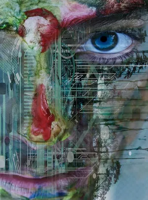 Inane Face Wallpaper