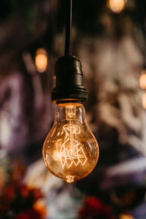 Incandescent Bulb With Black Cap Wallpaper