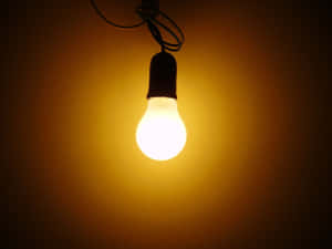 Incandescent House Bulb Wallpaper