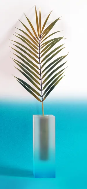 Incoming Summer Vibes! Wallpaper