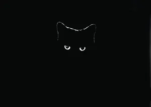 Incredible Black Cat Dark 4k Wallpaper