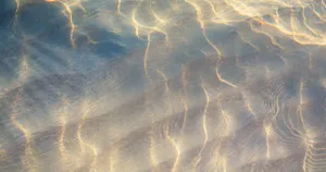 Incredible View Of Arched Rock Formations In Grand Canyon National Park Wallpaper