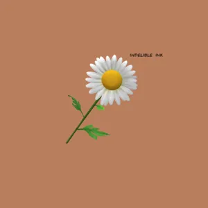 Indelible Ink Word And A Daisy Wallpaper