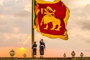 Independence Day Sri Lanka Wallpaper