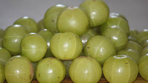 Indian Gooseberry Fruit Wallpaper