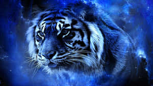 Indian Tiger Blue Wallpaper