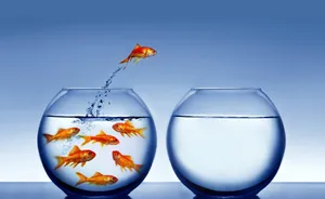 Individual Fish Jumping Wallpaper
