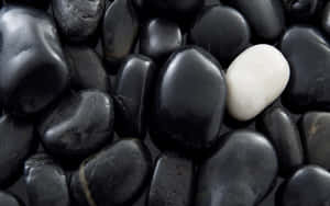 Individual White Stone Wallpaper