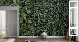 Indoor Garden Wallpaper Design Wallpaper