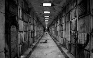 Indoor Graveyard Hall Wallpaper