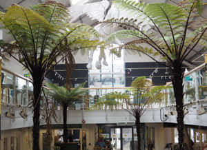 Indoor Mallwith Ferns Truro U K Wallpaper