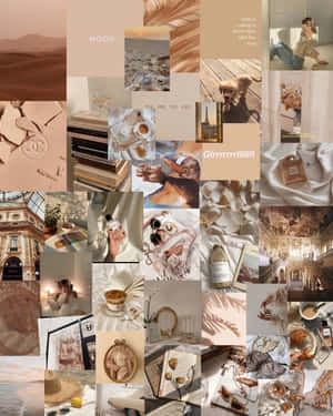 Indulge In Luxe Haircare To Bring Out Your Hair's Natural Beauty. Wallpaper