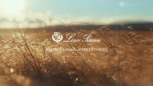 Indulge In Luxurious Comfort With The Loro Piana Blanket Wallpaper