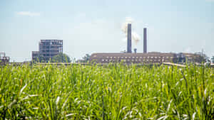 Industrial Complex Behind Green Field Wallpaper