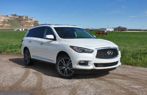 Infiniti Qx60 - Luxury Crossover Suv Wallpaper