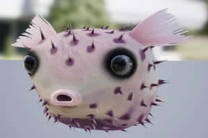 Inflated Purple Spotted Blowfish Wallpaper