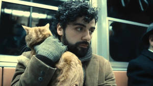 Inside Llewyn Davis Carrying Ulysses Wallpaper