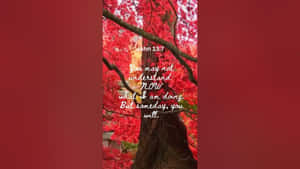 Inspirational Autumn Verse John137 Wallpaper