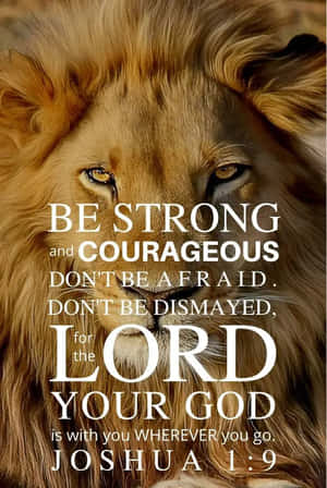 Inspirational Lion Joshua19 Wallpaper