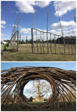 Installation Art On Display Wallpaper