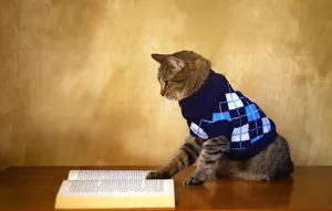 Intellectual Cat Wallpaper