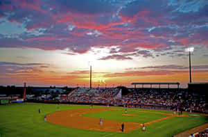 Intense College Baseball Game Action Wallpaper