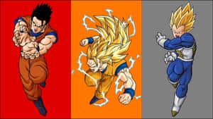 Intense Dragon Ball Z Characters Assemble Wallpaper