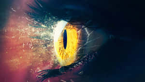 Intense_ Gaze_ Through_ Shattered_ Glass.jpg Wallpaper