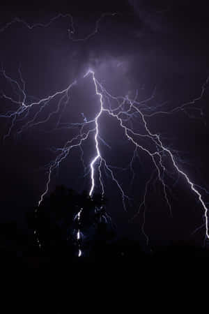 Intense Nighttime Lightning Strike Wallpaper