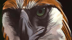 Intense_ Philippine_ Eagle_ Eye_ Artwork.jpg Wallpaper