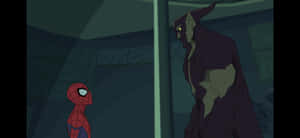 Intense Stare Of The Jackal Wallpaper