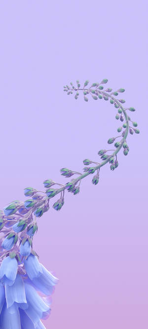 Interactive Bellflower Vine Wallpaper