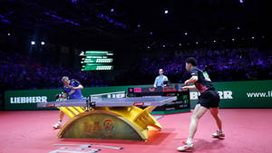 International Table Tennis Tournament Wallpaper