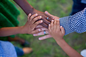 Interracial Family Hands Wallpaper