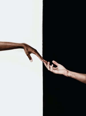 Interracial The Creation Michelangelo Wallpaper