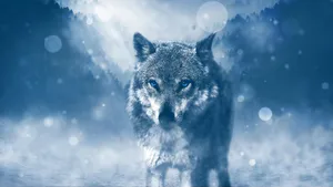 Intrepid Wolf Exploring An Aesthetic Wilderness Wallpaper