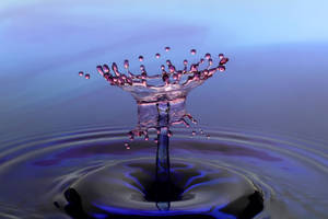Intricate 3d Water Flower Splash Wallpaper