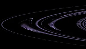 Intricate Abstract Lines In Motion Wallpaper