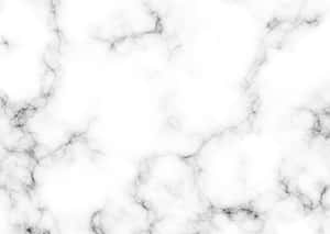 Intricate Black And White Abstract Texture Wallpaper