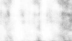 Intricate Black And White Texture Wallpaper