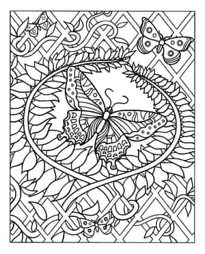 Intricate Butterfly Coloring Page Wallpaper